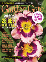 Issue 151