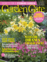Issue 153
