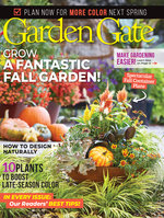 Issue 161