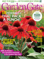 Issue 162