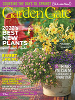 Issue 163