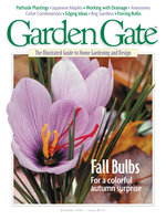 Issue 17