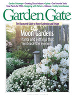 Issue 19