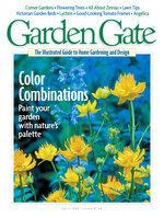 Issue 20