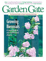Issue 21