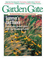 Issue 23