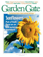 Issue 26