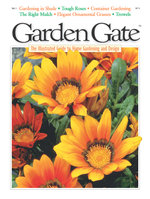 Issue 3