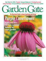 Issue 31
