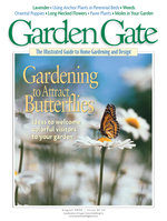 Issue 34
