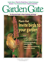 Issue 35