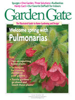 Issue 36