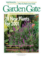 Issue 37