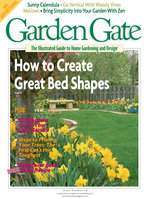 Issue 38