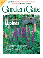 Issue 39