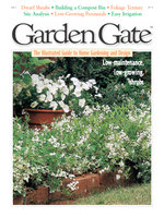 Issue 4