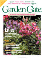 Issue 40