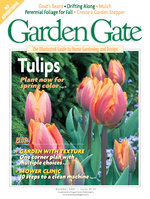 Issue 41