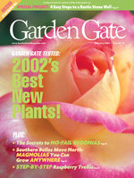 Issue 43