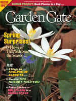 Issue 44