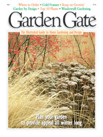 Issue 6