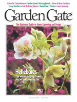 Issue 7