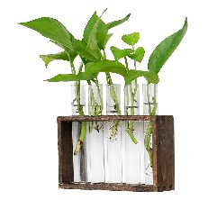 uwioff-garden gate retro flower planter reviews