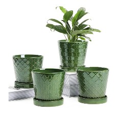 buymax cermaic herb pot reviews
