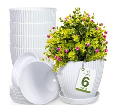 botanicas best plant pots reviews