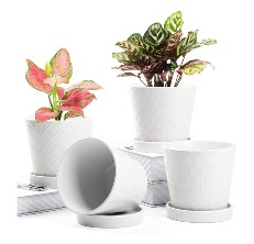 efispss herb pots reviews