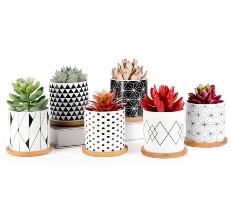 succulent pot reviews