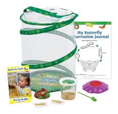 butterfly habitat reviews
