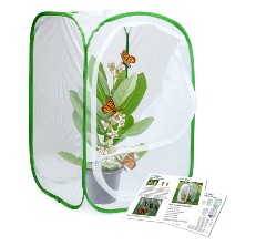 butterfly habitat reviews