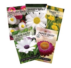 daisy seed reviews
