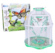 butterfly habitat reviews