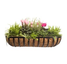 cobraco horse trough planter reviews