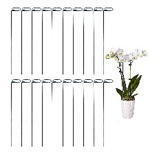 Tingyuan Single Stem Supports single stem supports reviews