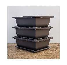 bonsai tree pot reviews