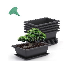 bonsai tree pot reviews