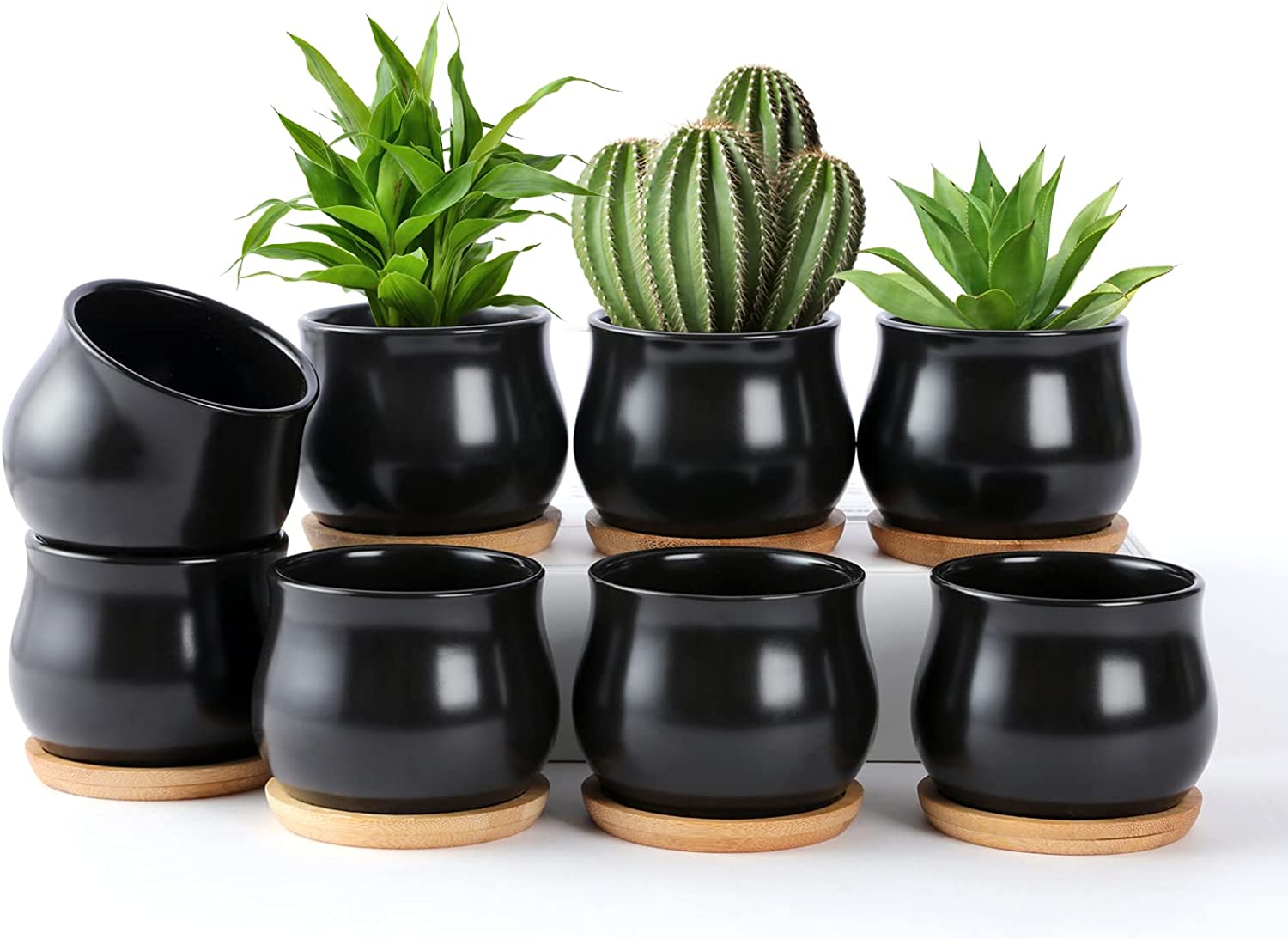SHECIPIN-8-Pack-Succulent-Pots