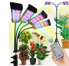 everlasting-grow-lightr-GG-channel-323-article-227217-review-1300265 image