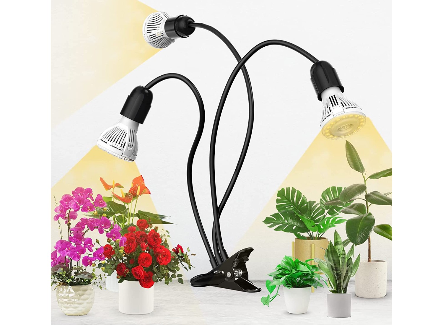 grow-light-channel-323-article-227217-review-1300264 image