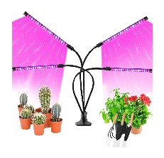 jueyingbali-gardengate-channel-323-article-227217-review-1300269 image