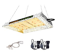 mars-gardengate-channel-323-article-227217-review-1300266 image