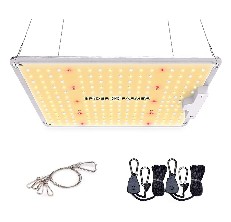 spider-gardengate-channel-323-article-227217-review-1300268 image