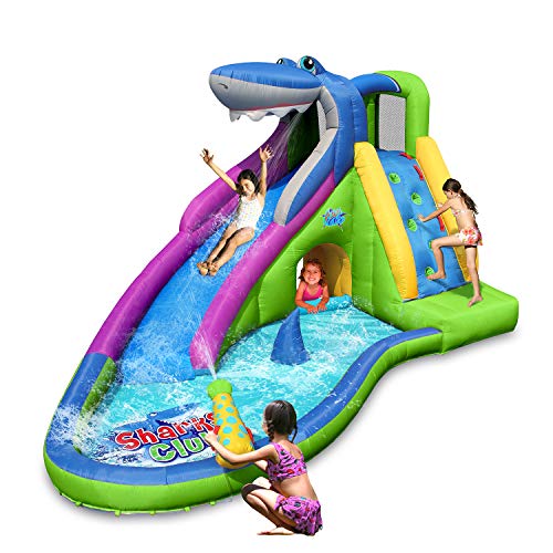 ACTION AIR Inflatable Water Slide & Bounce House