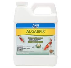API Algae Control Treatment
