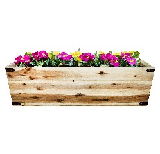 planter-gg-channel-323-article-227332-review-1300866 image