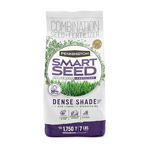 Pennington Dense Shade Grass Seed