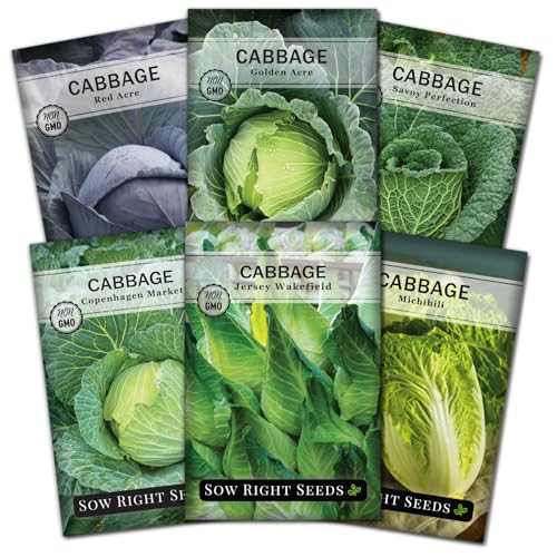 Sow Right Seeds Cabbage Seed